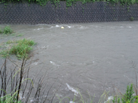 朝から大雨で川が増水