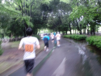 10マイルのランナーたちと並走