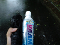 持参のヴァームで水分補給