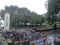 庄内緑地公園入口