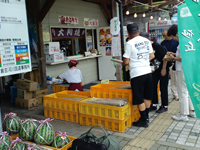 すいかと長いもを購入