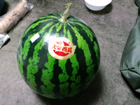 大栄すいか