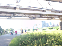 最後の高架下を通過