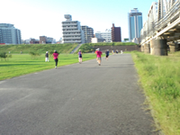 高架の横を通って最後の直線へ