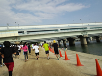 武庫川河川敷を疾走