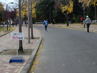 5キロ地点を通過