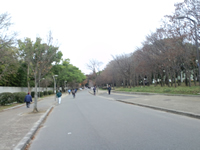 快調なペースで序盤を走る