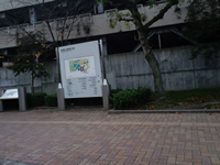 3周目通過